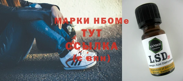 индика Новокубанск
