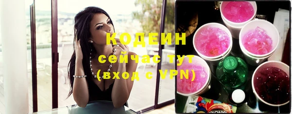 индика Новокубанск