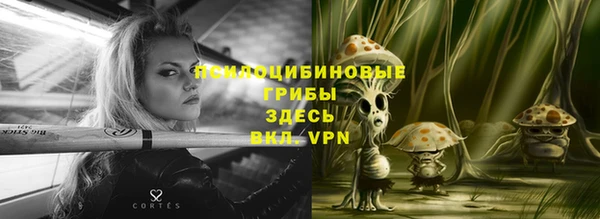 первитин Новодвинск