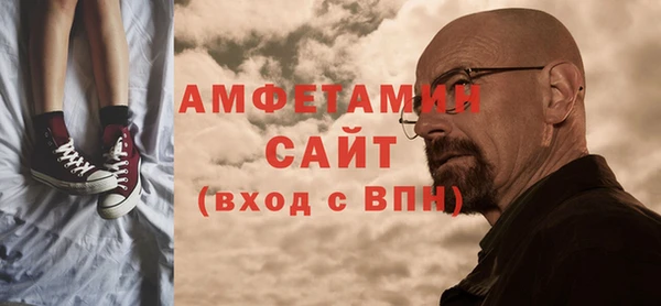 индика Новокубанск