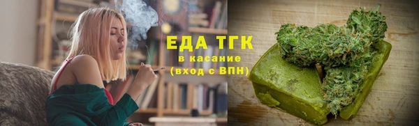 индика Новокубанск