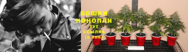 первитин Новодвинск