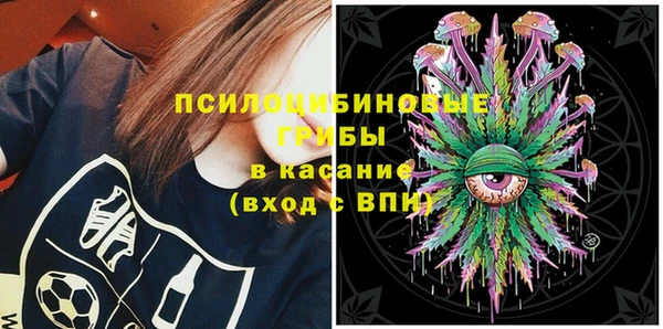 первитин Новодвинск