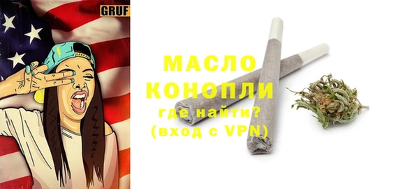 индика Новокубанск