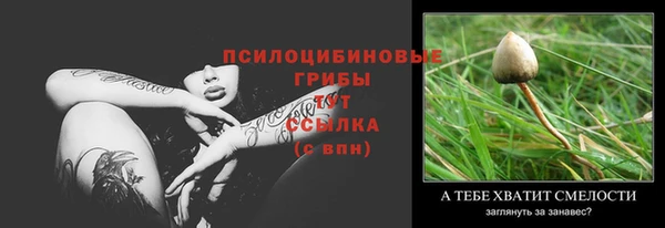 индика Новокубанск