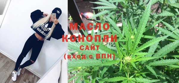 индика Новокубанск