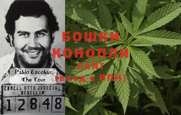 первитин Новодвинск