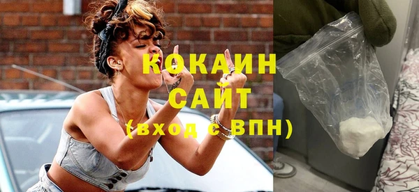 первитин Новодвинск