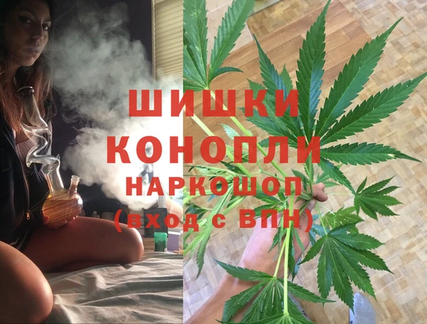 индика Новокубанск