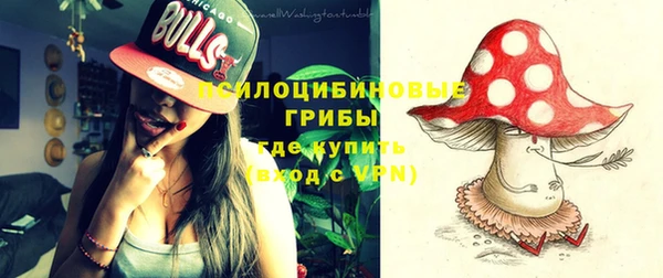 jwh Новозыбков