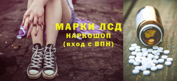 индика Новокубанск