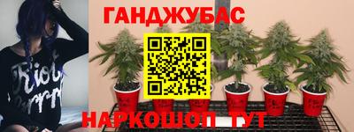 соль курить ск Ипатово