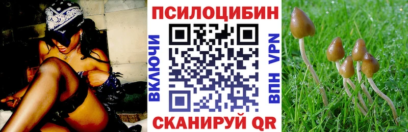 сколько стоит  OMG сайт  Галлюциногенные грибы Magic Shrooms  Славянск-на-Кубани 