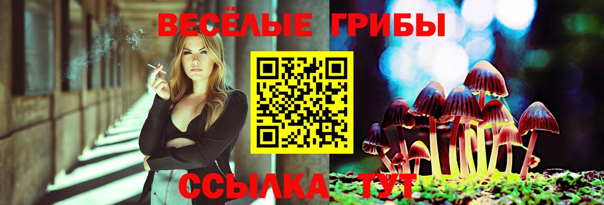 Псилоцибиновые грибы MAGIC MUSHROOMS Славянск-на-Кубани