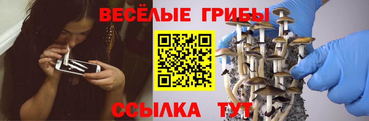 Галлюциногенные грибы Magic Shrooms Славянск-на-Кубани